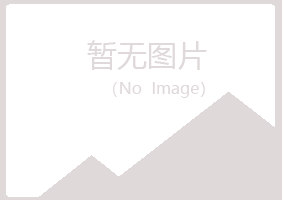 龙山县字迹采矿有限公司